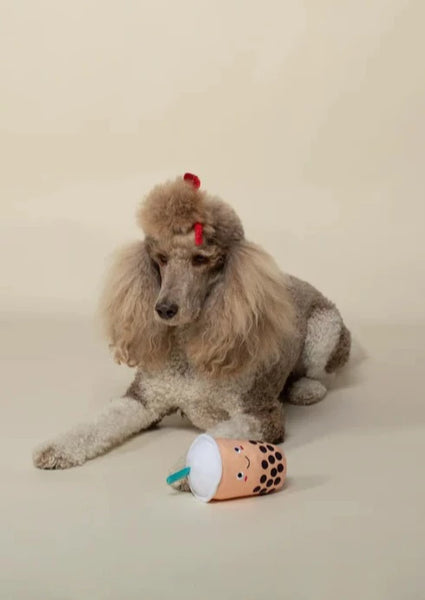 plush dog toy - boba