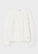 Load image into Gallery viewer, girls shimmer crew neck sweater
