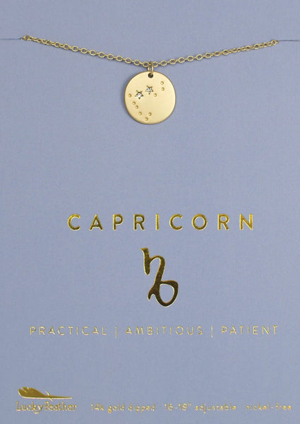 Capricorn necklace