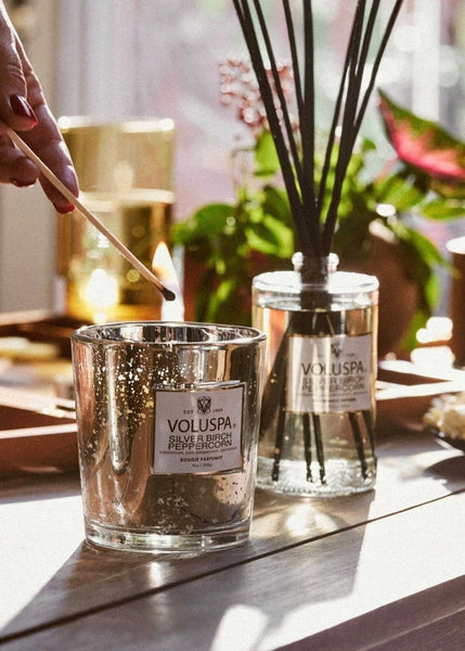 reed diffuser silver birch