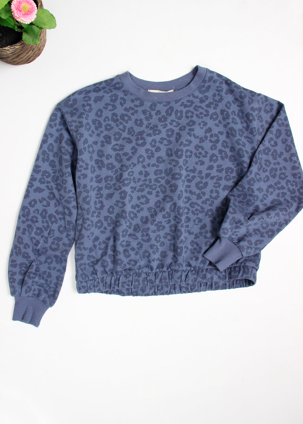 leopard sweatshirt - tween girls