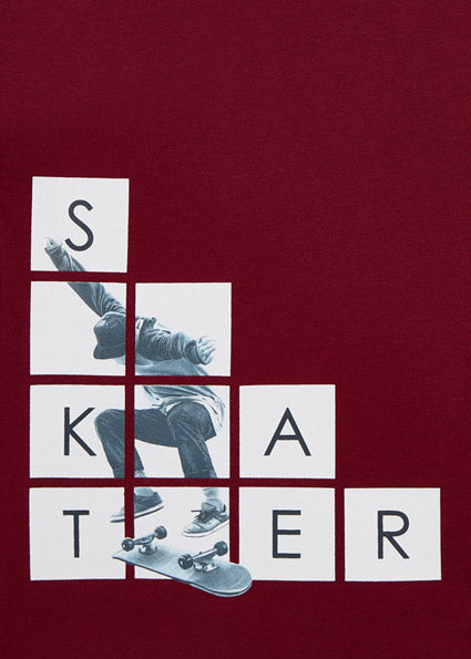 boys long sleeve skater tee